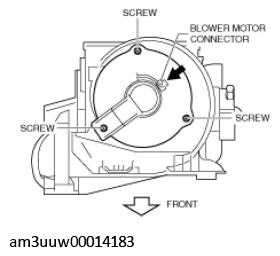G11529239
