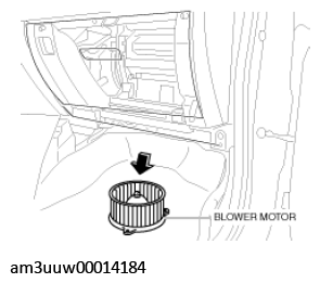 G11529240