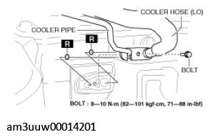 G11529249