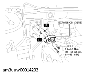 G11529250