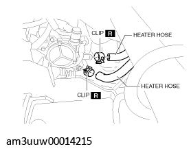 G11529256