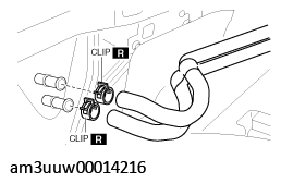 G11529257