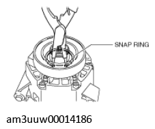 G11529266