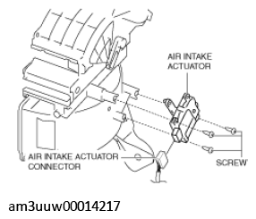 G11529286