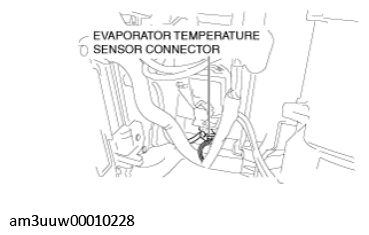 G11529349