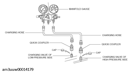 G11529417