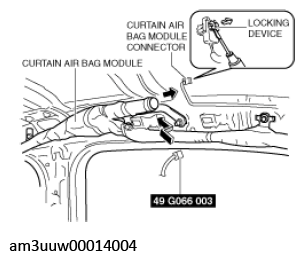 G11529486