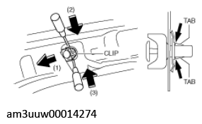 G11529550