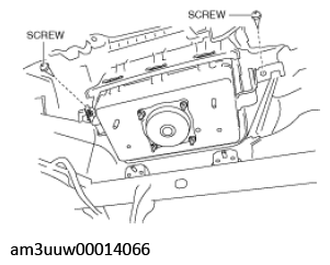 G11529594