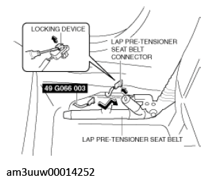G11539164