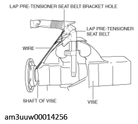 G11539202