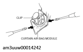 G11539230
