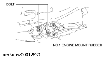 G11539558