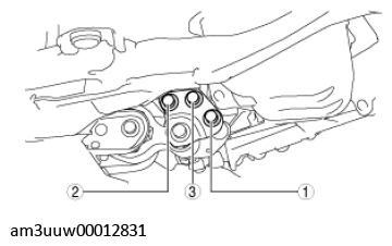 G11539559