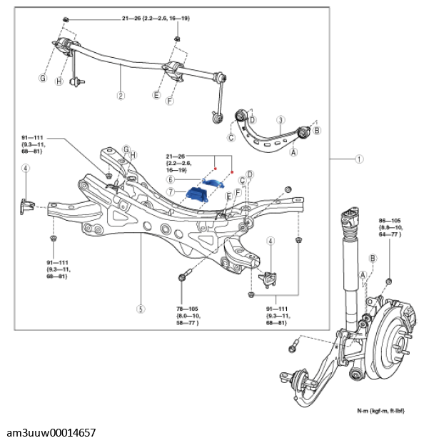 G11539606