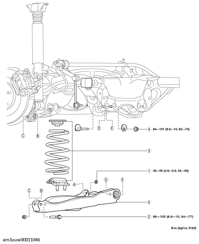 G11539616