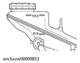 G11539732