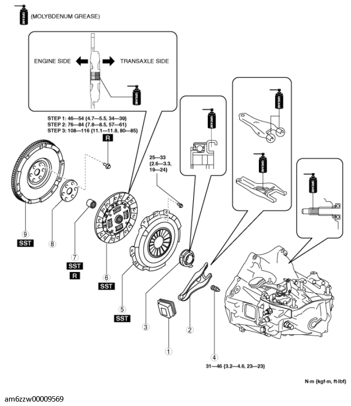 G11539761