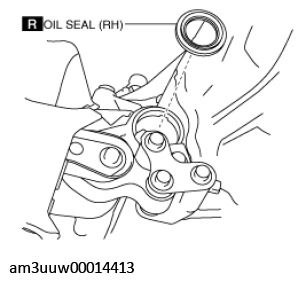 G11539843