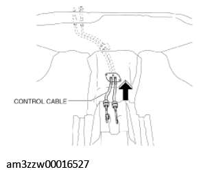 G11539870
