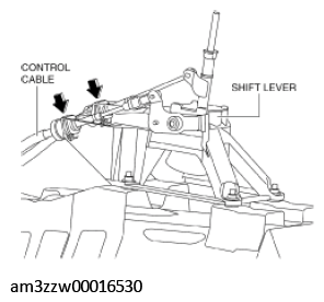 G11539877