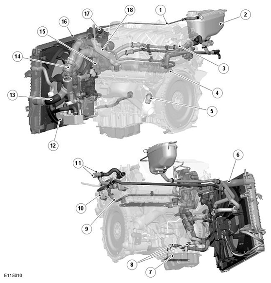 G11541231