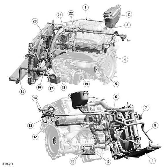G11541232
