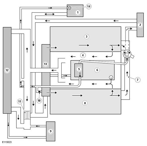 G11541244