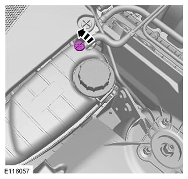 G11541256