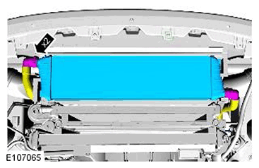G11541323