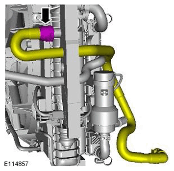 G11541386