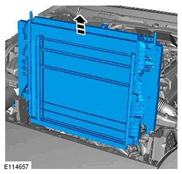 G11541406