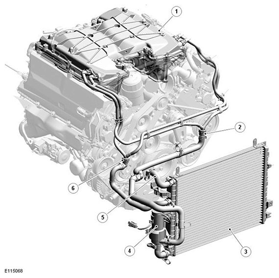 G11541456