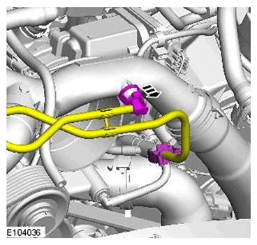 G11541661