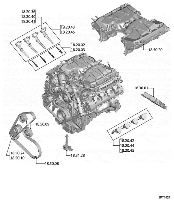G11541916