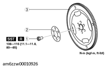 G11542561