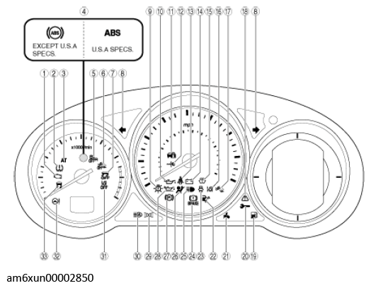 G11544456