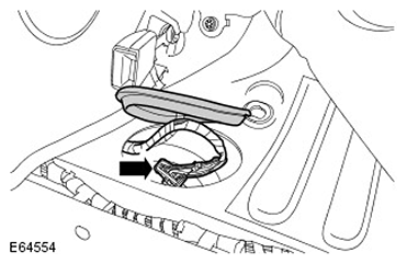 G11545049
