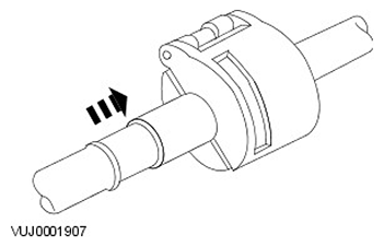 G11545058