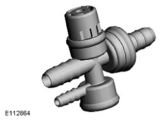 G11545067