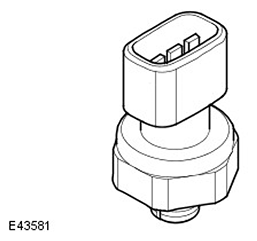 G11545244