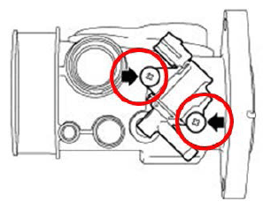 G11546262