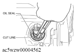 G11547971