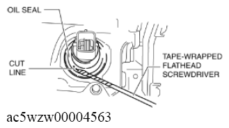 G11547972