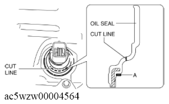 G11547973