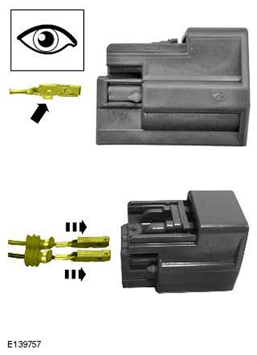 G11548371