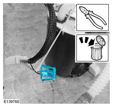G11548374