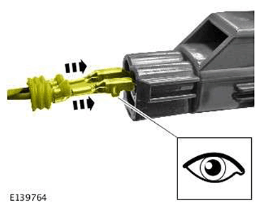 G11548378