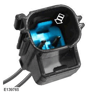 G11548379
