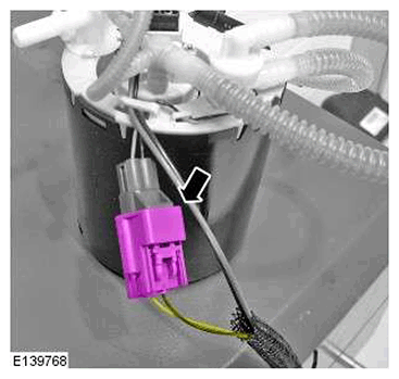 G11548382
